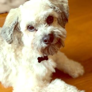 Meet your Posher, Robin